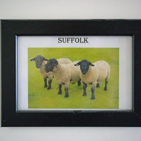 Kro The Shepherds Inn,