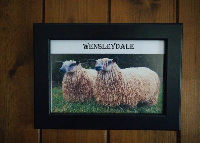 Inn The Shepherds Inn, 4*