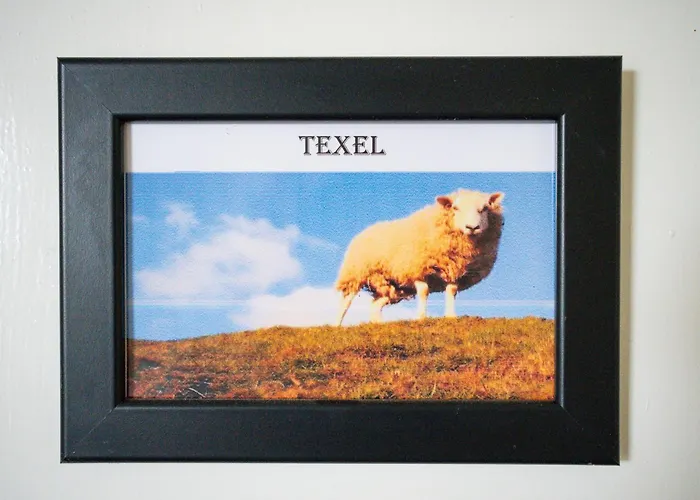 Inn The Shepherds Inn, 4*