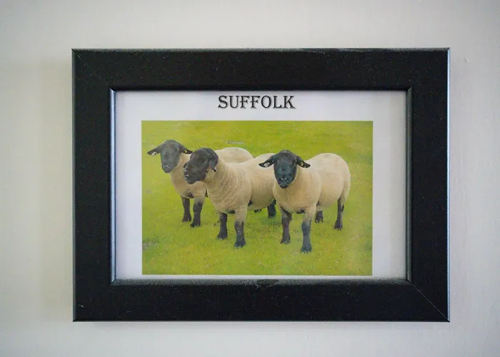 Inn The Shepherds Inn,